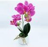 Orchideeinstallatie MET NATUURLIJKE VLEUGJE 42 CM