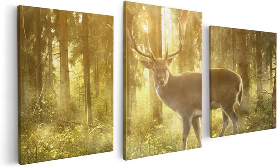 Artaza - Triptyque de peinture sur toile - Cerf dans la forêt avec soleil - 120x60 - Photo sur toile - Impression sur toile