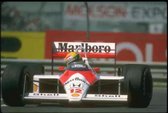Ayrton Senna - Mclaren 1993 - metalen bordje / poster  - Senna - Formule 1 - formula 1 -F1 - mancave - F1 2021