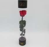 Classy stem rose - gift 30 cm - red - Longlife roos gift - enkele longlife roos