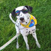 Lunettes pour chien - Lunettes de soleil pour Chiens - Lunettes de soleil pour chien - Blauw