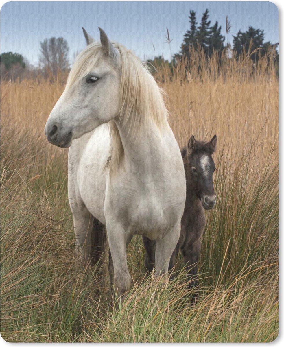 Muismat Camargue - Paard met veulen in Camargue muismat rubber - 19x23 cm - Muismat met foto