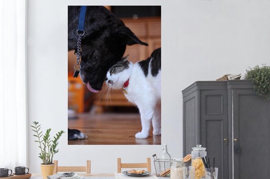 Poster 120x180 cm - Kat - Hond - Dieren - Posters - Kamer decoratie - Wanddecoratie woonkamer - Muurdecoratie slaapkamer XXL