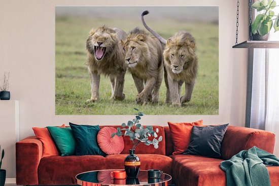 Affiche Le Roi Lion 40x60 cm - Tirage photo sur Poster (décoration