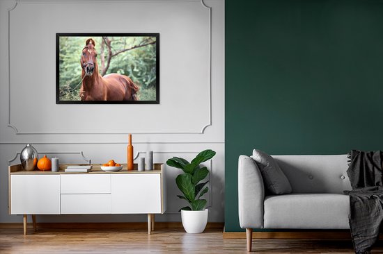Photo encadrée - Un cheval Kathiawari dans le cadre photo nature boisé noir 90x60 cm - Affiche encadrée (Décoration murale salon / chambre)