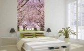 Dimex Cherry Trees Vlies Fotobehang 150x250cm 2-banen