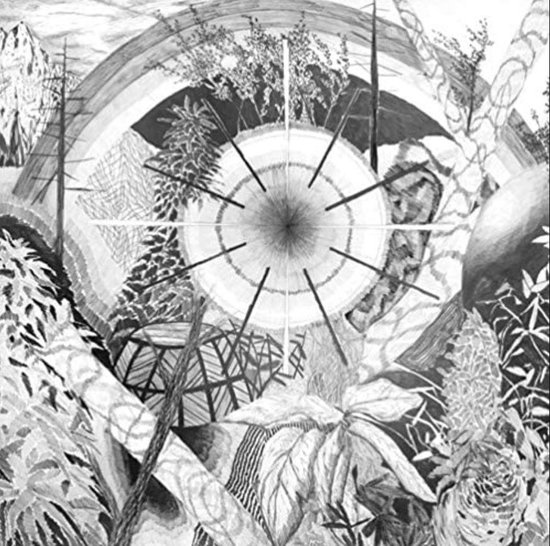 Dog Poison Thee Oh Sees Lp Album Muziek Bol Com