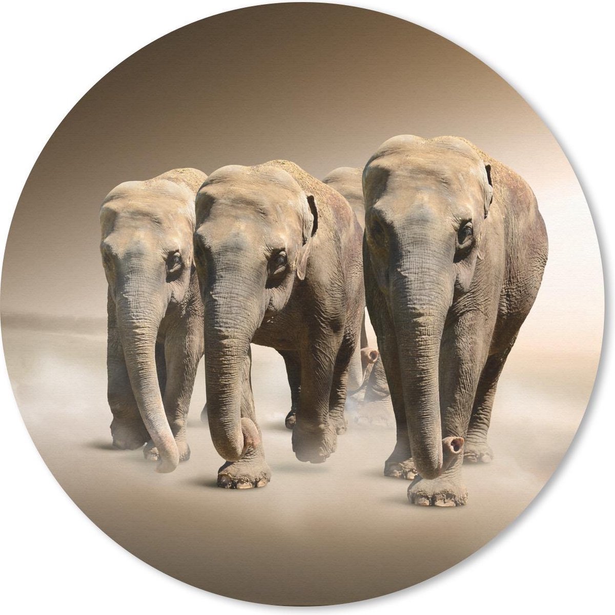 Muismat rond 20x20 cm - Mousepad Olifant - Mist - Landschap - Ronde muismatten