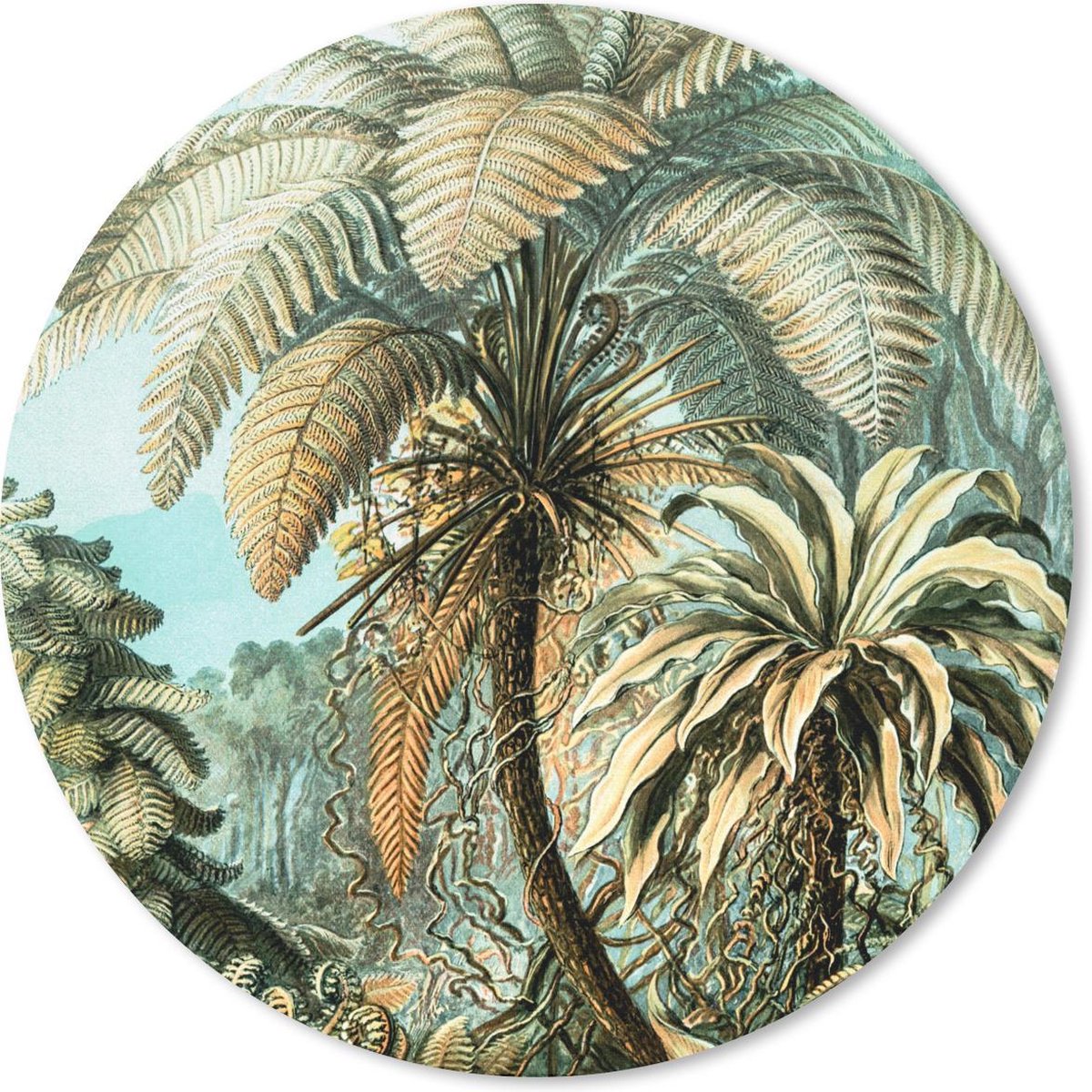 Muismat rond 20x20 cm - Mousepad Palmboom - Ernst Haeckel - Ronde muismatten
