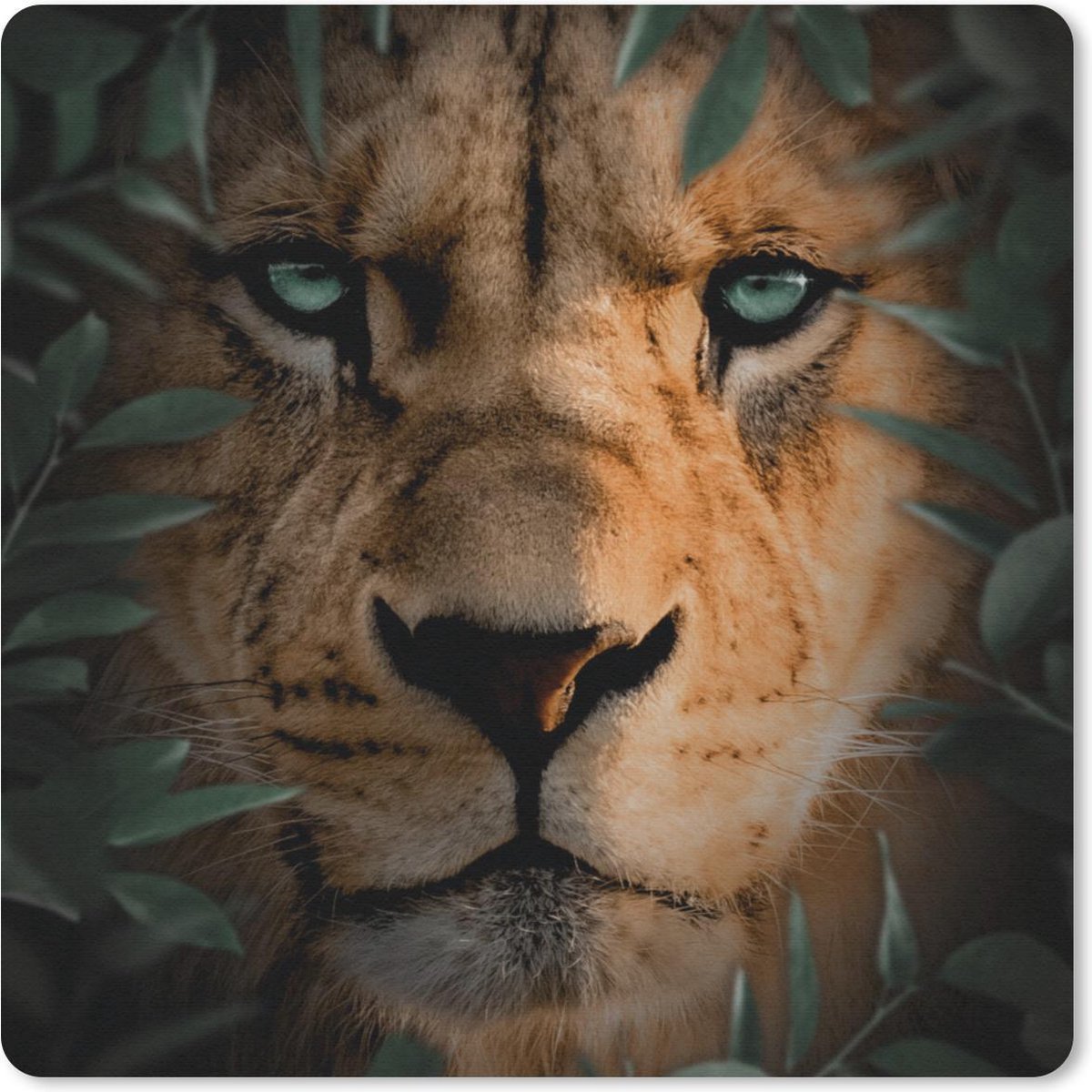 Muismat 20x20 cm - Mousepad Planten - Leeuw - Natuur - Muismatten
