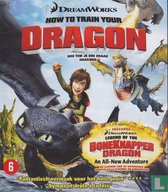 How To Train Your Dragon (D/F) [bd]