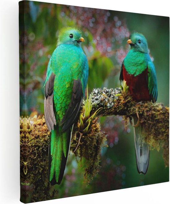 Artaza Canvas Schilderij Twee Groene Quetzal Vogels Op Een Tak - 50x50 - Foto Op Canvas - Canvas Print