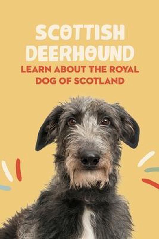 Scottish Deerhound: Learn About The Royal Dog of Scotland