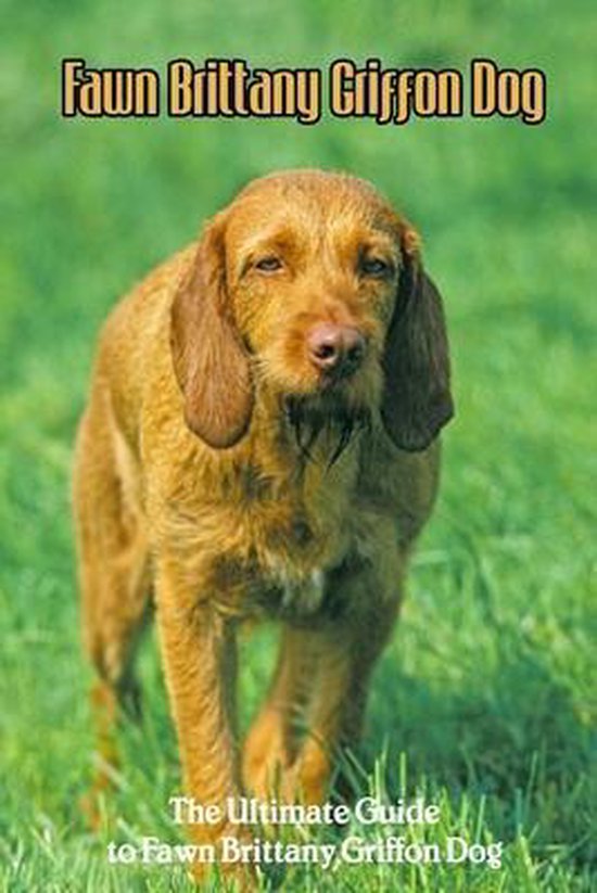 Fawn Brittany Griffon Dog: The Ultimate Guide to Fawn Brittany Griffon Dog