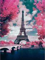 Alles-in-1 pakket met 30x40cm Diamond Painting 'Eiffel toren roze bloesem',  A4 lightpad en meer