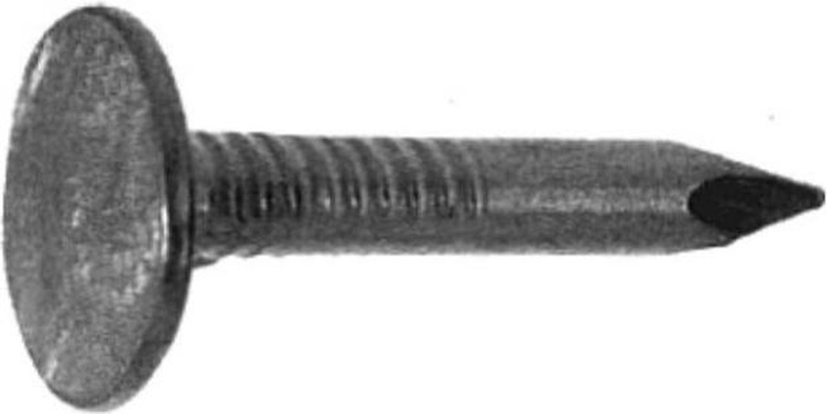 Asfaltnagels 3.0 x 20 mm 200 GR. Deltafix