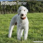 Bedlington Terrier 2022 - 18-Monatskalender mit freier DogDa