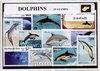 Afbeelding van het spelletje Dolfijnen – Luxe postzegel pakket (A6 formaat) : collectie van 25 verschillende postzegels van dolfijnen – kan als ansichtkaart in een A6 envelop - authentiek cadeau - kado -kaart - dieren - zeezoogdieren - dolfijn - vissen - zeedieren - Delphinidae
