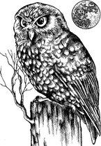 Owl and Moon Unmounted Rubber Stamps (CI-512)