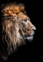 Leeuw op Acrylglas - WallCatcher | Staand 40 x 60 cm | Lion King