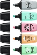STABILO BOSS MINI - Markeerstift - Pastellove Edition - Etui Met 5 Kleuren