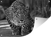 Tuin decoratie Close-up luipaard - zwart wit - 40x30 cm - Tuindoek - Buitenposter