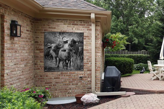 Nappe de jardin Groupe de buffles curieux - noir et blanc - 100x100 cm