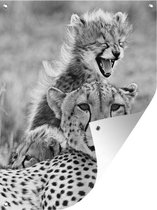 Tuin decoratie Cheeta en haar baby cheeta's - zwart wit - 30x40 cm - Tuindoek - Buitenposter