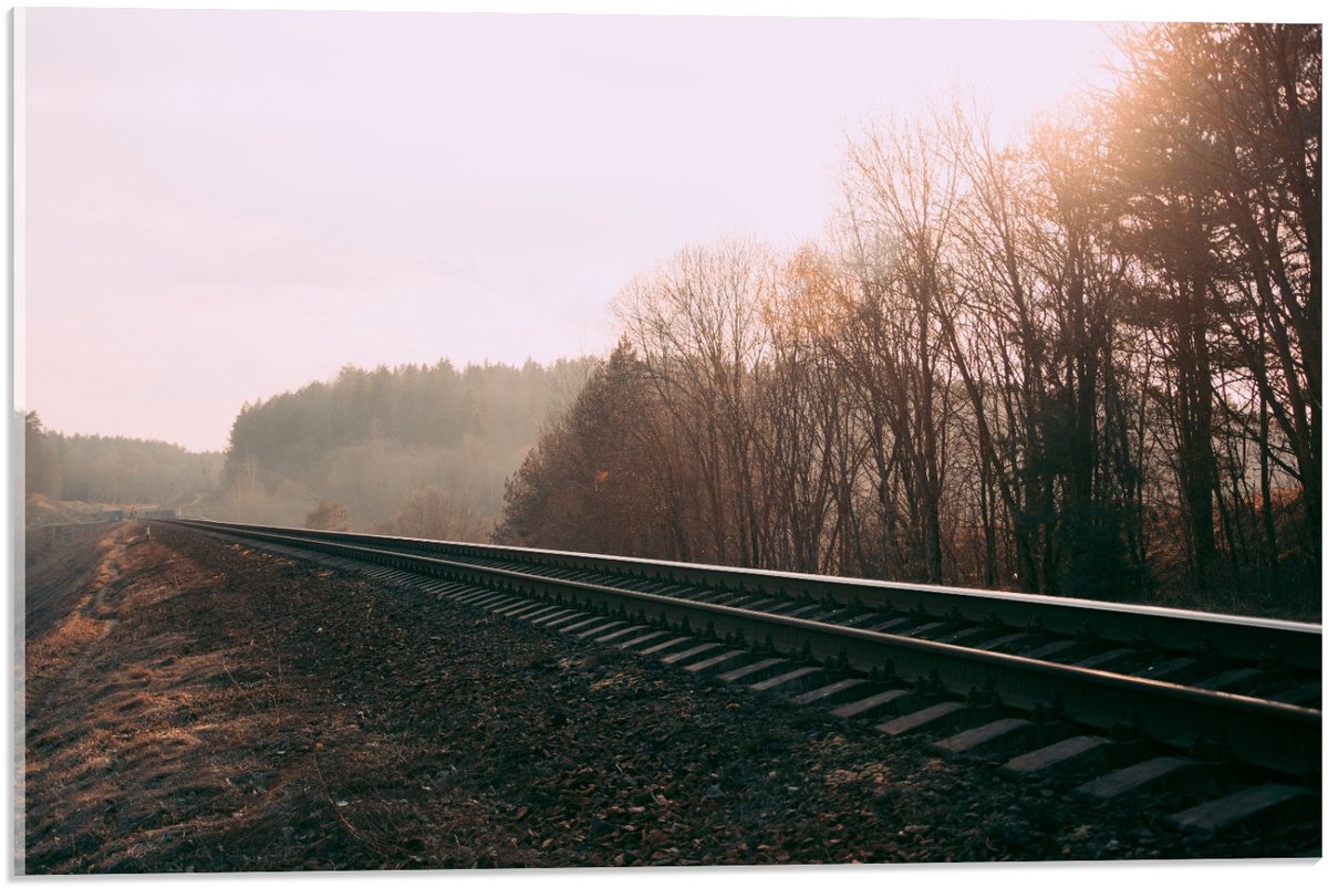 Acrylglas - Treinrails in Landschap - 60x40cm Foto op Acrylglas (Met Ophangsysteem)
