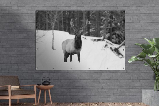 Décoration murale Cerf dans la neige - noir et blanc - 180x120 cm - Poster jardin - Toile jardin - Poster extérieur
