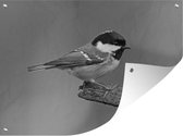 Affiche de jardin - Toile jardin - Affiches extérieures - Une mésange noire au bout d'une branche - noir et blanc - Posters de jardin cm - Jardin