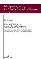 Schriftenreihe zum deutschen und europaeischen Gesellschafts- und Wirtschaftsrecht 23 - Minderjaehrige als Vermoegensnachfolger