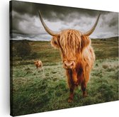 Artaza Canvas Schilderij Schotse Hooglanders In De Wei - Kleur - 40x30 - Klein - Foto Op Canvas - Canvas Print