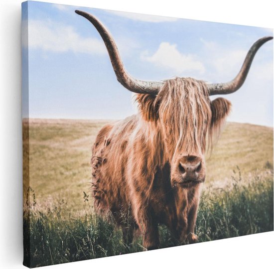 Artaza Canvas Schilderij Schotse Hooglander Koe In De Wei - 40x30 - Klein - Foto Op Canvas - Canvas Print