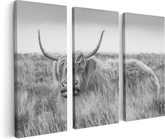 Artaza - Triptyque de peinture sur toile - Vache écossaise Highlander - Zwart Wit - 120x80 - Photo sur toile - Impression sur toile