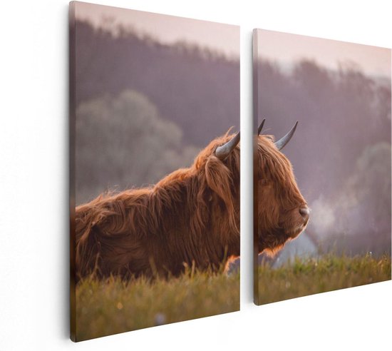 Artaza Canvas Schilderij Tweeluik Schotse Hooglander Koe Ligt In Het Gras - 80x60 - Foto Op Canvas - Canvas Print