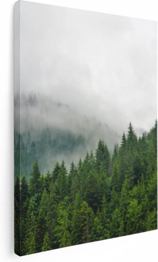 Artaza - Peinture sur toile - Forêt verte avec des Arbres pendant le brouillard - 30 x 40 - Klein - Photo sur toile - Impression sur toile