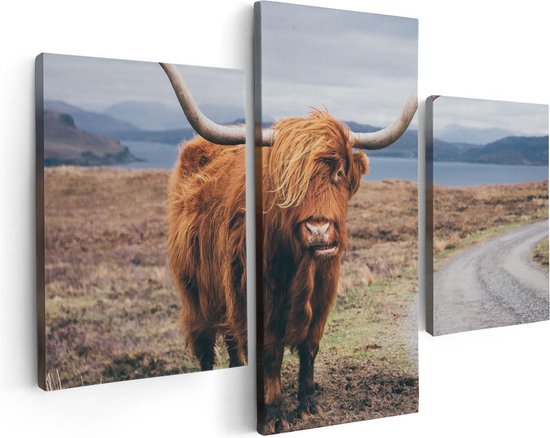 Artaza - Triptyque de peinture sur toile - Vache Highlander écossaise sur la route - 90 x 60 - Photo sur toile - Impression sur toile