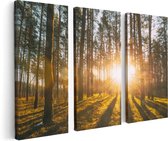 Artaza - Triptyque de peinture sur toile - Lever du soleil dans la forêt parmi les Arbres - 120x80 - Photo sur toile - Impression sur toile