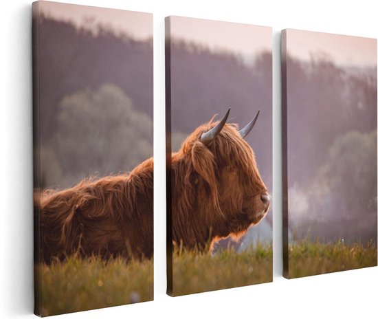 Artaza - Canvas Schilderij - Schotse Hooglander Koe Ligt In Het Gras - Foto Op Canvas - Canvas Print