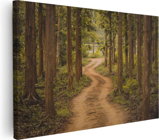 Artaza Canvas Schilderij Pad In Het Bos Met Bomen - 120x80 - Groot - Foto Op Canvas - Wanddecoratie Woonkamer