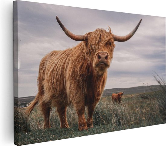 Artaza Canvas Schilderij Schotse Hooglander Koeien In De Wei - 120x80 - Groot - Foto Op Canvas - Wanddecoratie Woonkamer