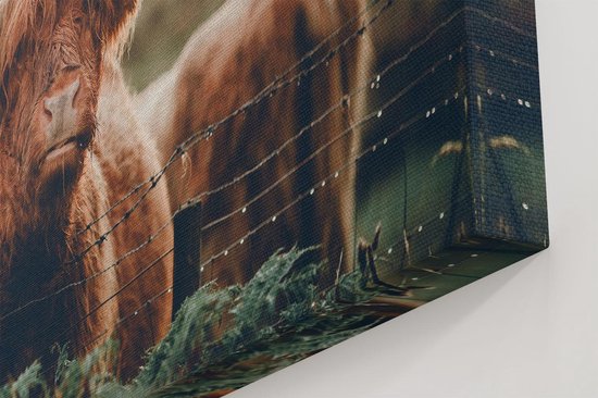 Artaza - Peinture sur toile - Scottish Highlander Cow In The Sun - 120 x 80 - Groot - Photo sur toile - Impression sur toile
