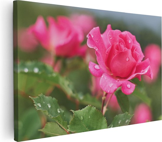 Artaza Canvas Schilderij Roze Roos Met Waterdruppels - 120x80 - Groot - Foto Op Canvas - Wanddecoratie Woonkamer
