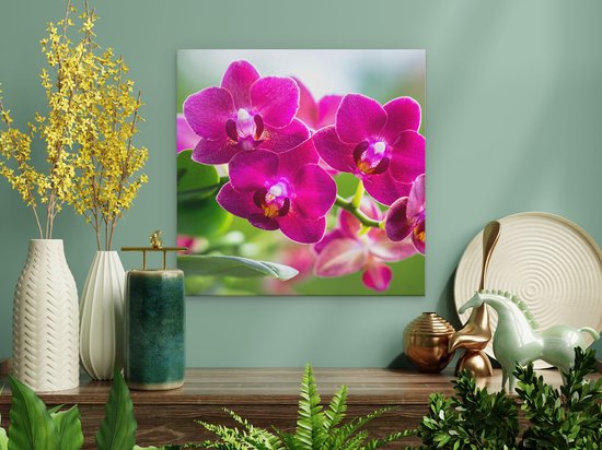 Artaza Peinture sur Toile Fleurs d'Orchidées Roses - 30x30 - Klein - Photo sur Toile - Impression sur Toile