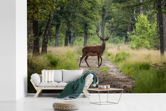 Papier peint - Papier peint photo Forêt - Cerfs - Arbres - Largeur 420 cm x hauteur 280 cm