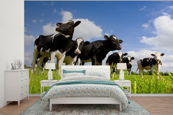 Papier peint - Papier peint photo Vache - Herbe - Nuages - Largeur 330 cm x hauteur 240 cm