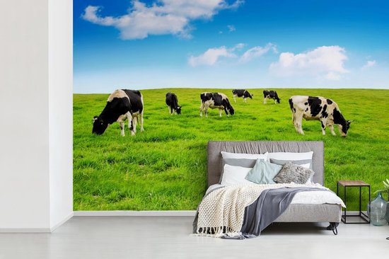 Papier peint - Papier peint photo Vache - Herbe - Ciel - Largeur 390 cm x Hauteur 260 cm