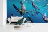Behang - Fotobehang Pinguïns onder water - Breedte 465 cm x hoogte 260 cm