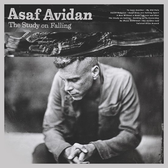 Asaf Avidan - The Study On Falling (CD)